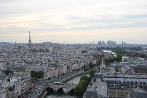 View of Paris from the bell tower at Notre Dame Cathedral - photo taken by me.