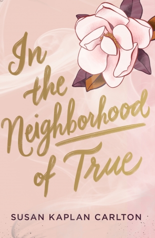 Blog Tour Review:  IN THE NEIGHBORHOOD OF TRUE by Susan Kaplan Carlton