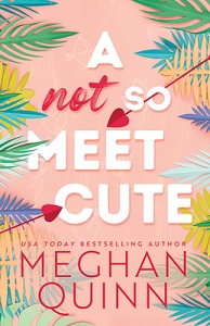 Romance Reviews – Cane Brothers Series by Meghan Quinn